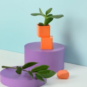 product 10